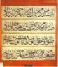 The Picture of Calligraphy