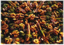 Turkish Cuisine