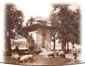 The Last Capital of Ottoman Empire, Istanbul
