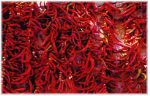 Turkish Cuisine