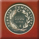 Coin Back View